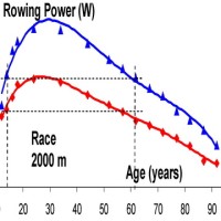 Effect of rower’s age on rowing power